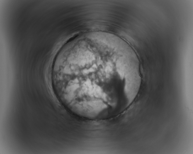 X0000092110241200710031235