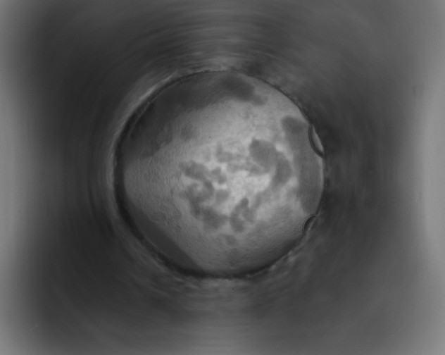 X0000092110242200710031235