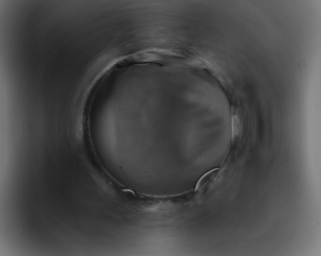 X0000092110243200710031235