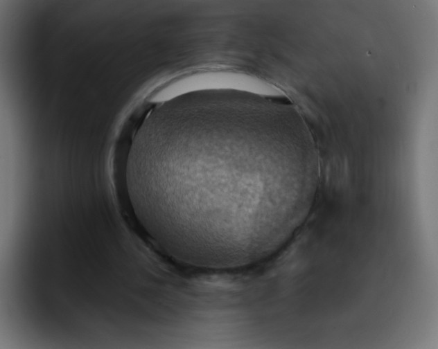 X0000092110244200710031235