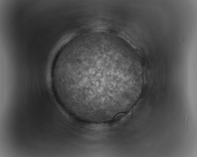 X0000092110245200710031235