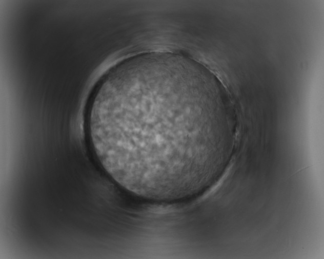 X0000092110246200710031236