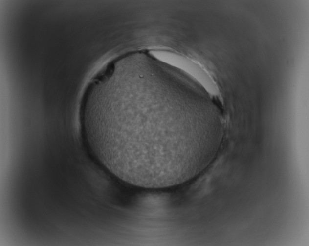 X0000092110248200710031236