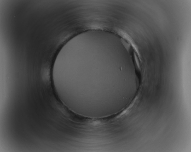 X0000092110249200710031236