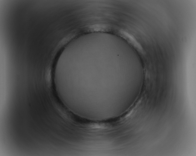 X0000092110250200710031236