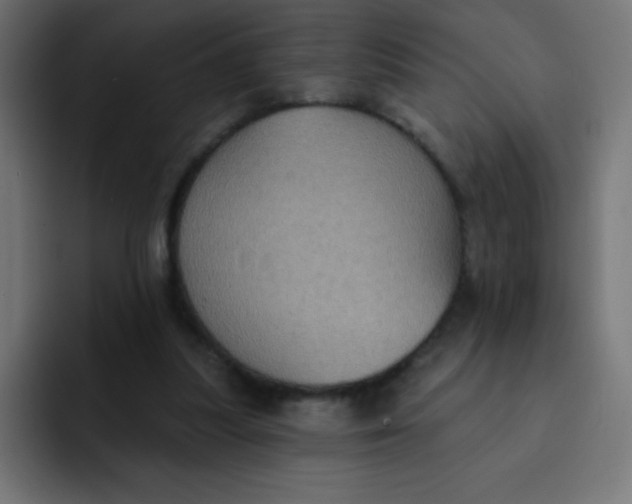 X0000092110251200710031236