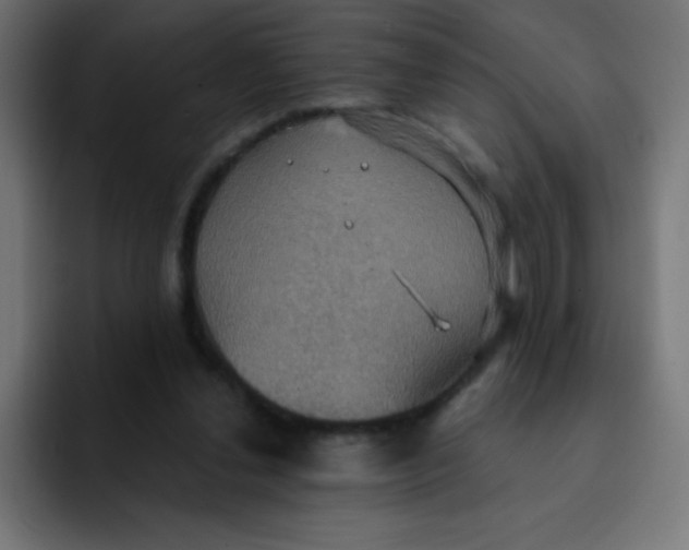 X0000092110252200710031236