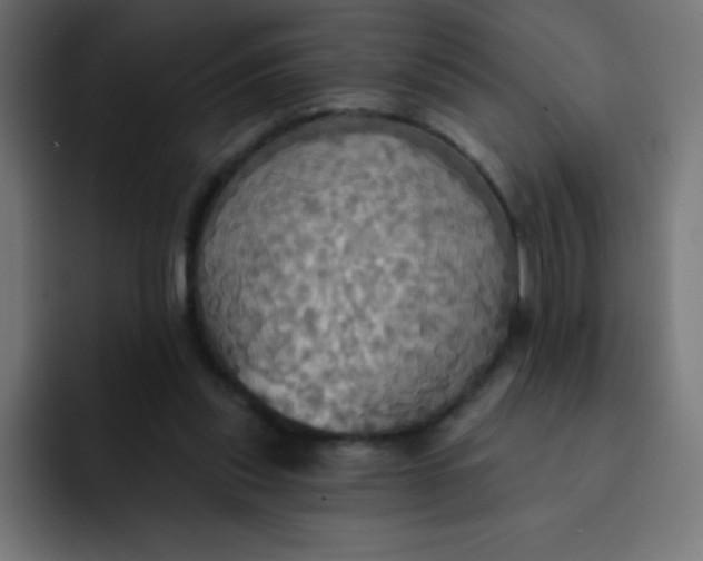 X0000092110253200710031236