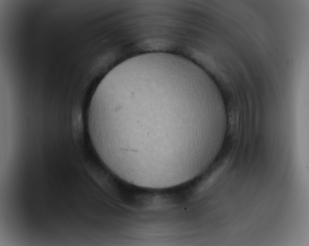 X0000092110254200710031236