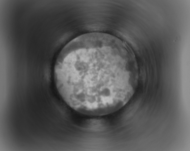 X0000092110255200710031236