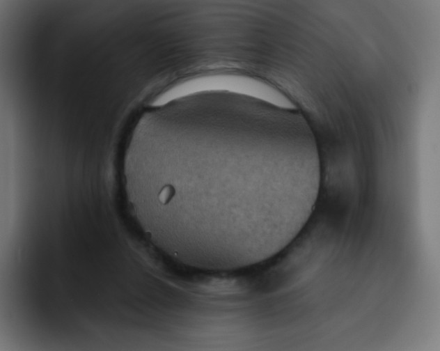 X0000092110256200710031236