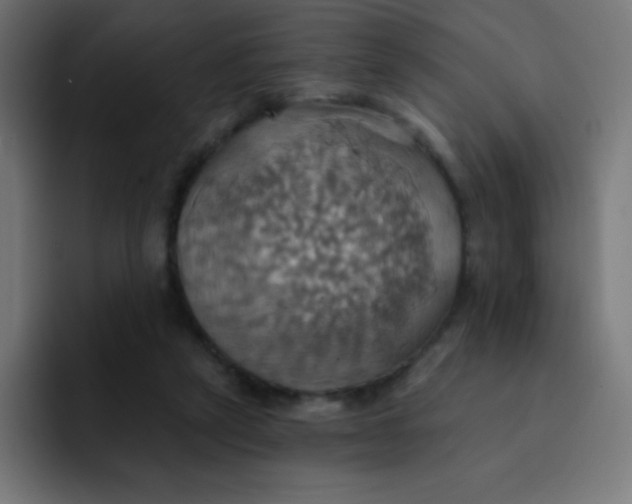 X0000092110257200710031236