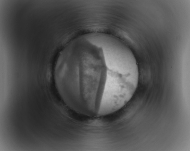 X0000092110259200710031236