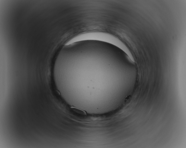 X0000092110260200710031236