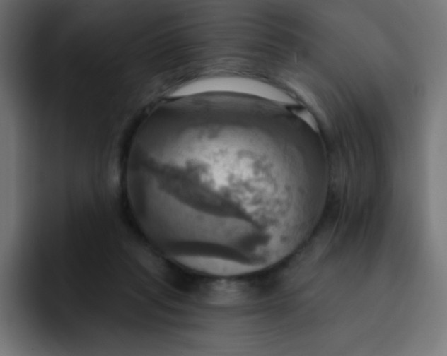 X0000092110261200710031236