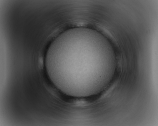 X0000092110262200710031236