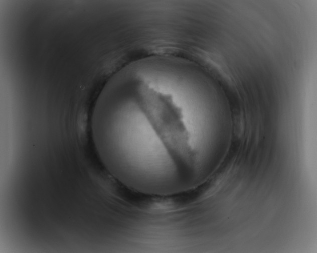 X0000092110263200710031236