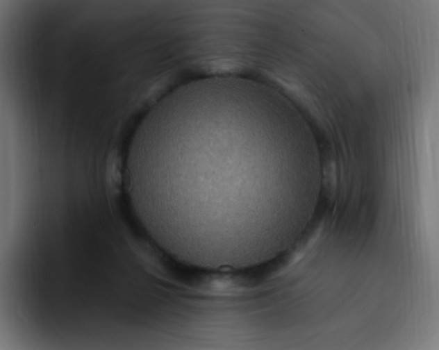 X0000092110264200710031236