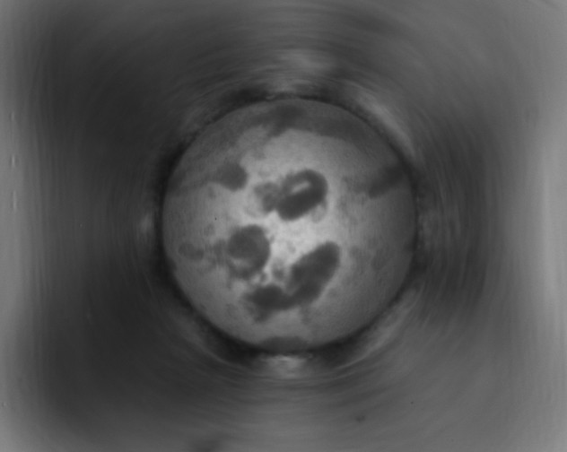 X0000092110265200710031236