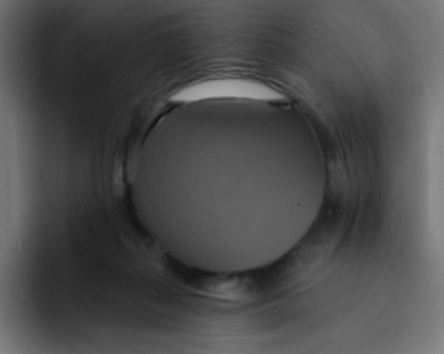 X0000092110267200710031236