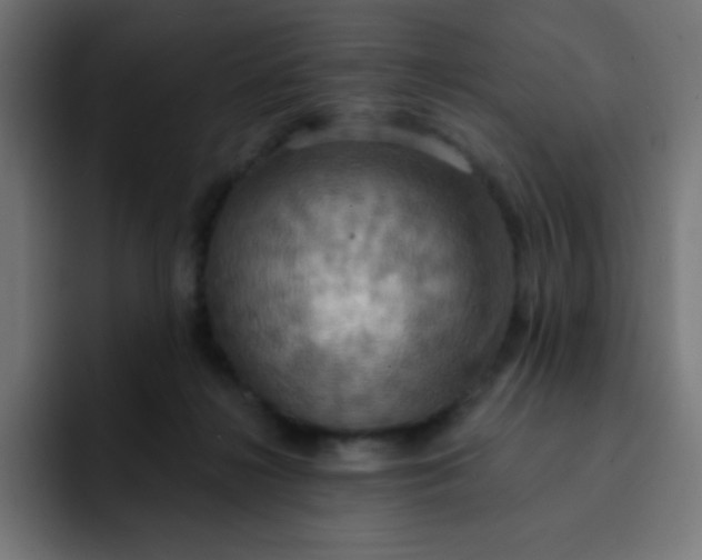 X0000092110268200710031236