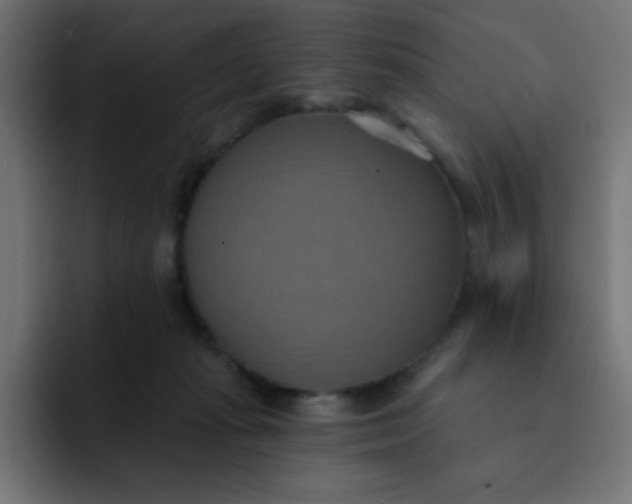 X0000092110269200710031236