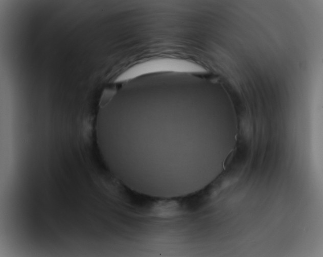 X0000092110271200710031236