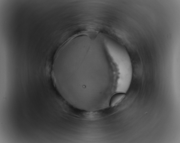 X0000092110273200710031236