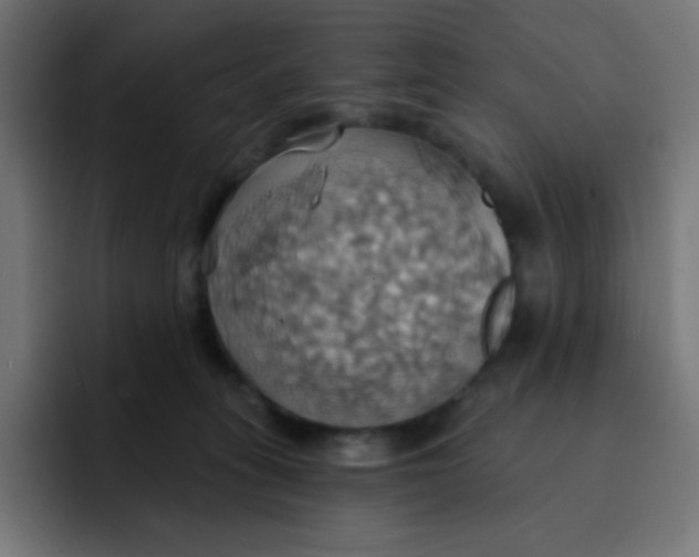 X0000092110275200710031236