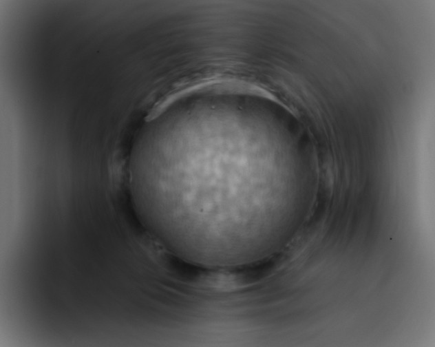 X0000092110276200710031236