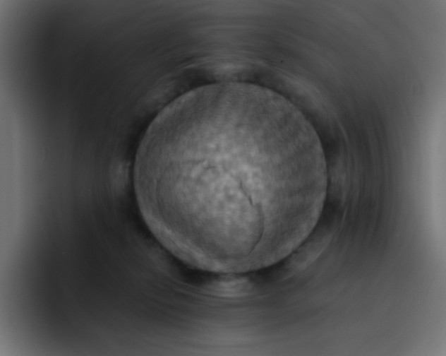 X0000092110278200710031236