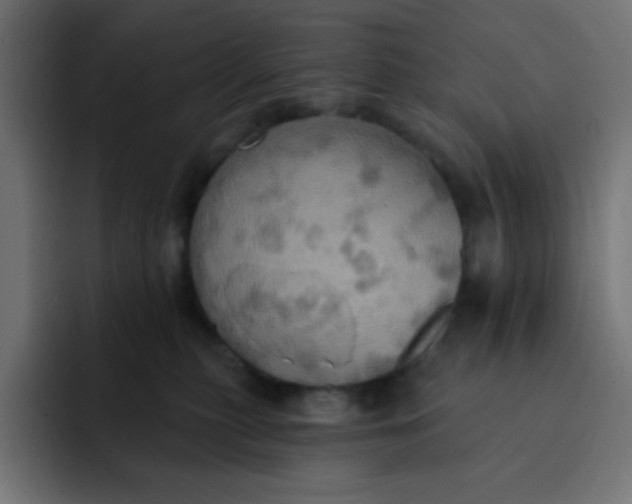 X0000092110279200710031236