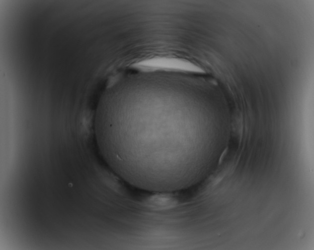 X0000092110280200710031236