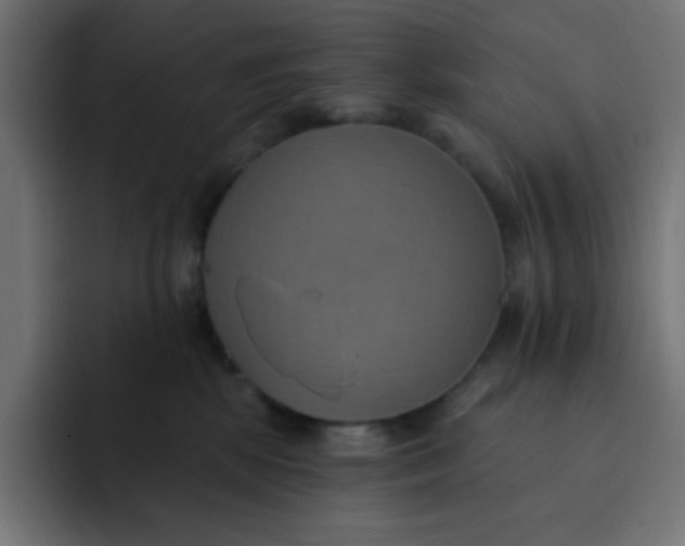 X0000092110281200710031236