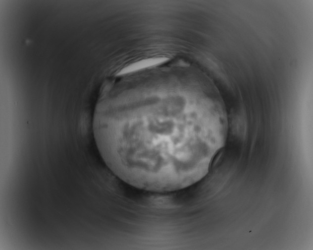 X0000092110283200710031236