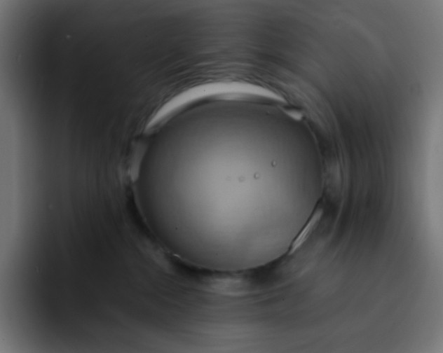 X0000092110284200710031236