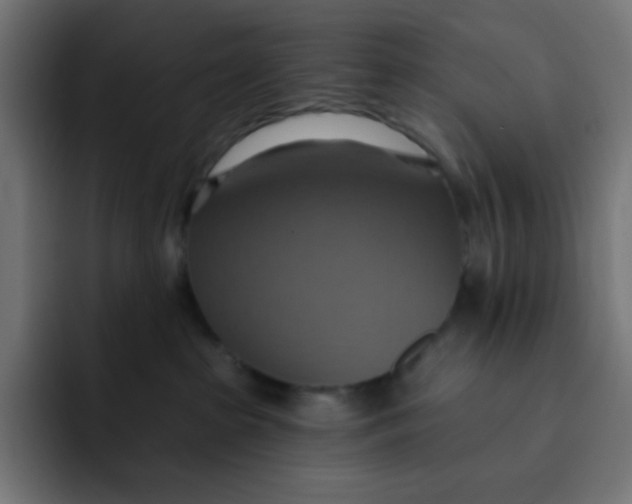 X0000092110285200710031236