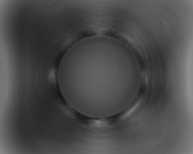 X0000092110286200710031236