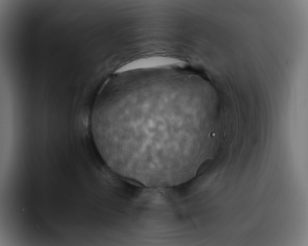 X0000092110288200710031236