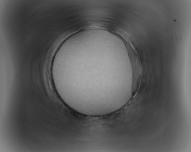 X0000092110289200710031235