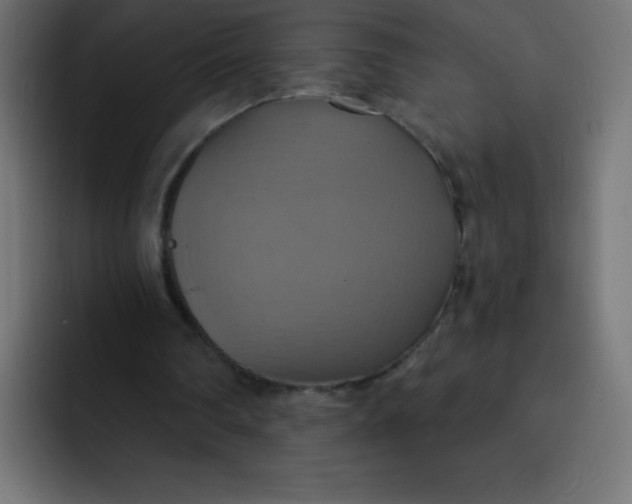 X0000092110290200710031235