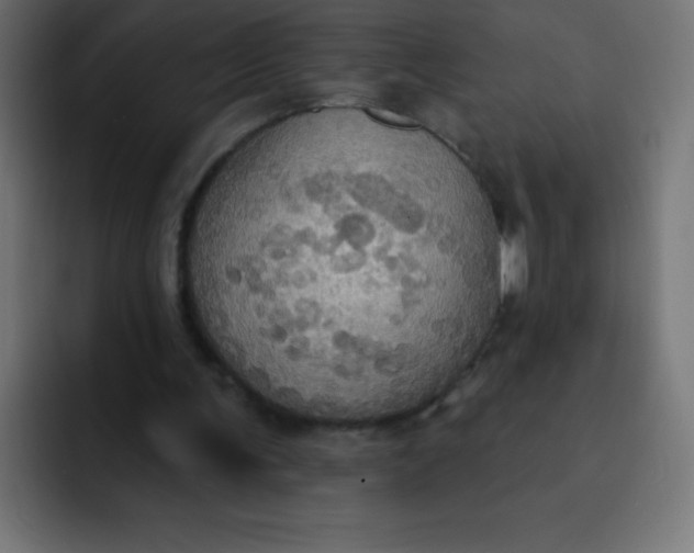 X0000092110291200710031235