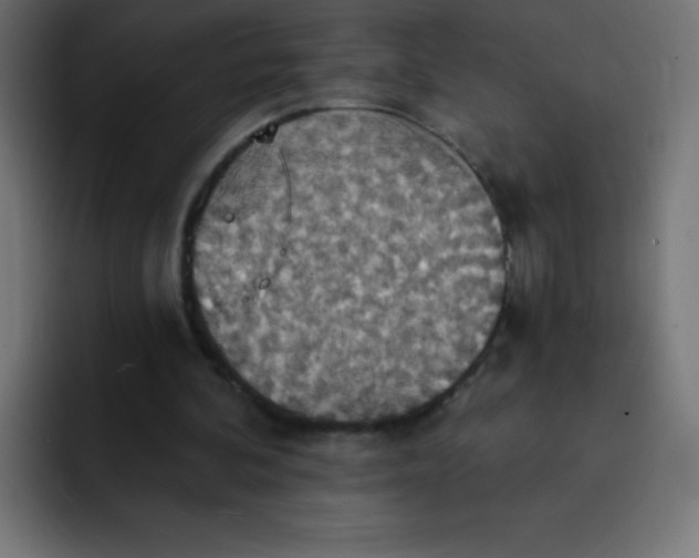 X0000092110292200710031235