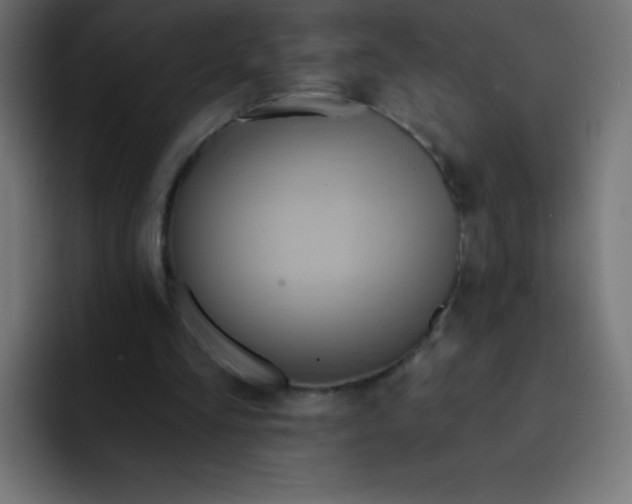 X0000092110293200710031235