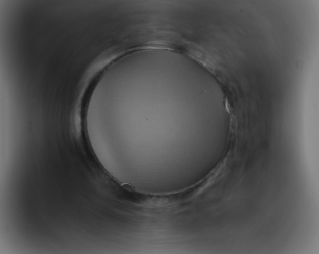 X0000092110294200710031235