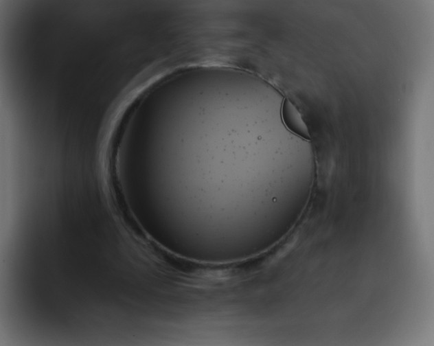 X0000092110295200710031235