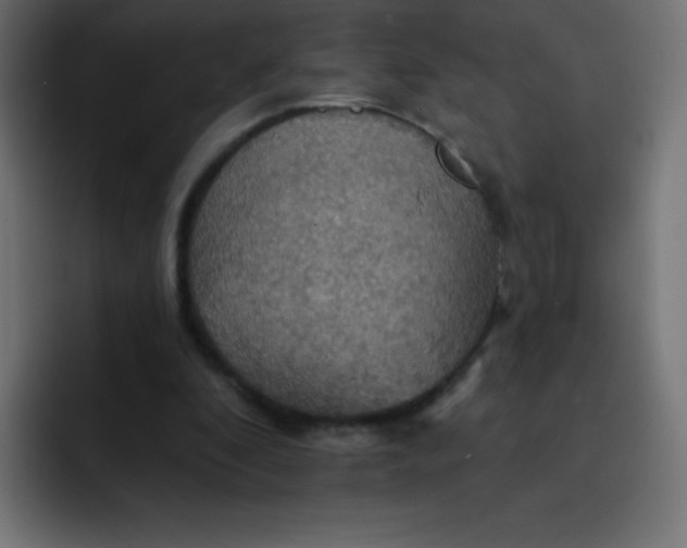 X0000092110296200710031235