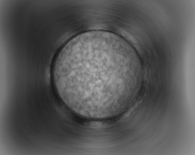 X0000092110298200710031235