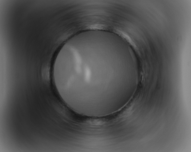 X0000092110299200710031235