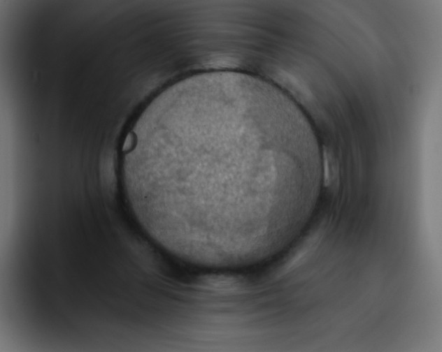 X0000092110300200710031235